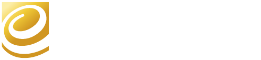 Electric Paper Logo